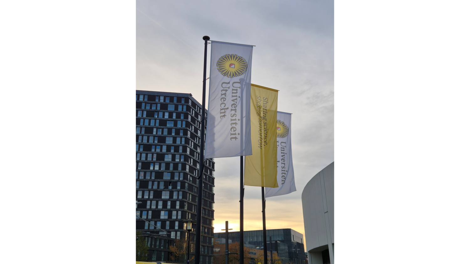  ◳ Obrázek2 (png) → (originál)