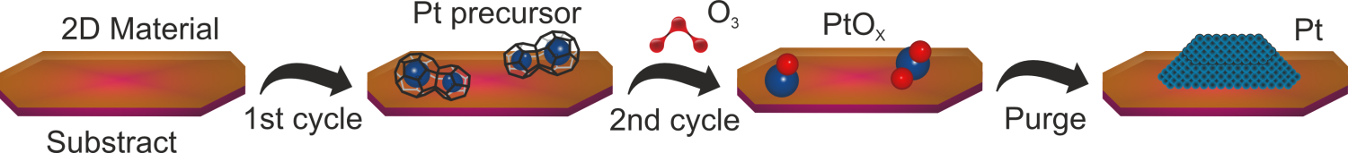  ◳ Danylo_JIGA_2026 (png) → (originál)