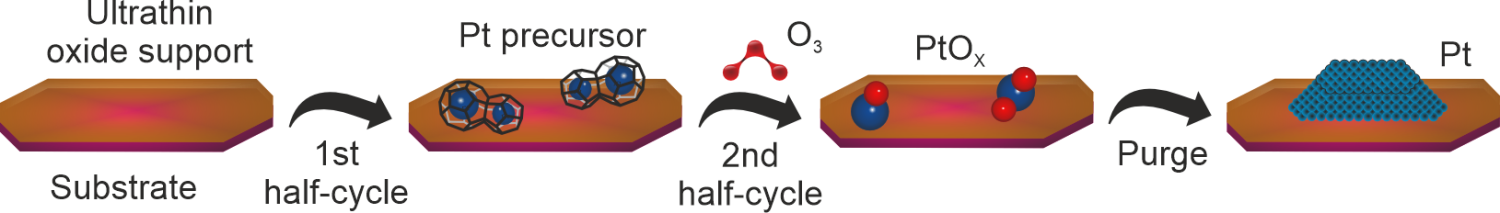  ◳ Marie Curie (png) → (originál)