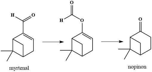  ◳ Nopinon (jpg) → (originál)