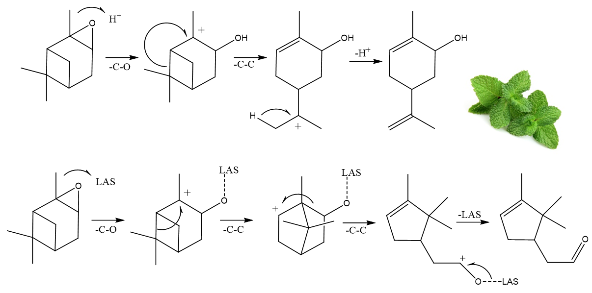  ◳ Izomerace pinenoxidu (png) → (originál)