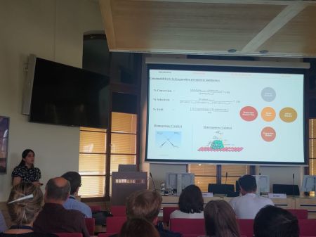 ◳ WhatsApp Image 2026-01-06 at 14.53.33 (jpeg) → (šířka 450px)